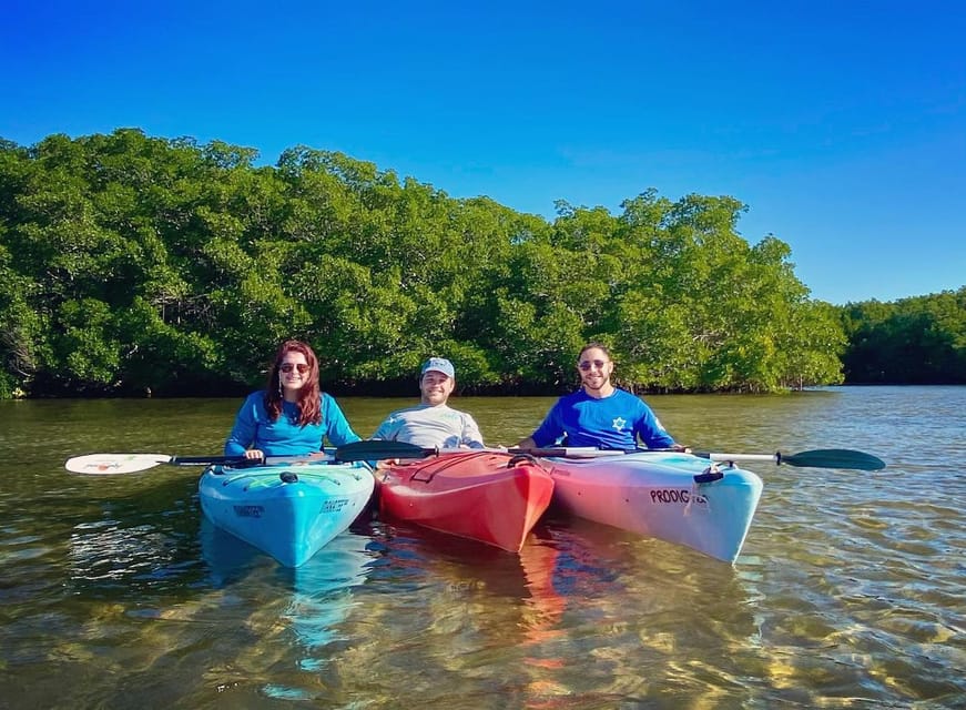 St. Petersburg, FL: Weedon Island Kayak Tour – St. Petersburg, Florida