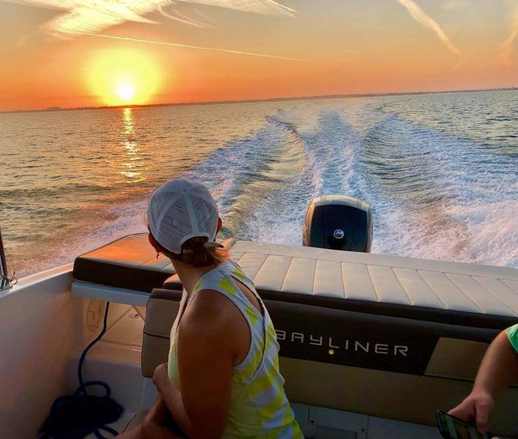 Tampa Bay: Private Sunrise Dolphin & Island Cruise – Tampa, Florida