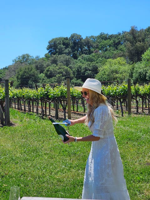 USA/California/Napa: Private Wine Tour for up to 6 guests – Calistoga, California