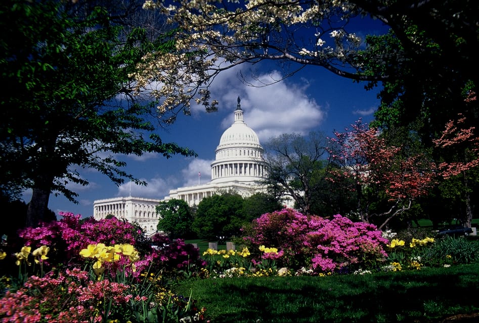 Washington, DC: Monuments and Memorials Photography Lesson – Washington DC