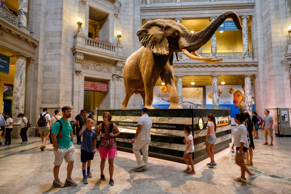 Washington DC: Museum of Natural History Private Guided Tour – Washington DC