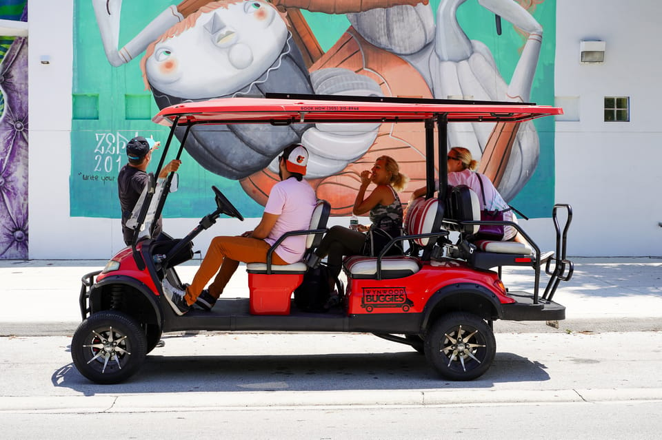 Wynwood Art District 1-Hour Wynwood Buggies Street Art Tour – Miami, Florida