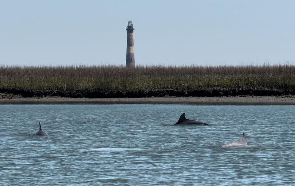 2hr Private River Cruise with stop at Morris Island – Folly Beach, South Carolina