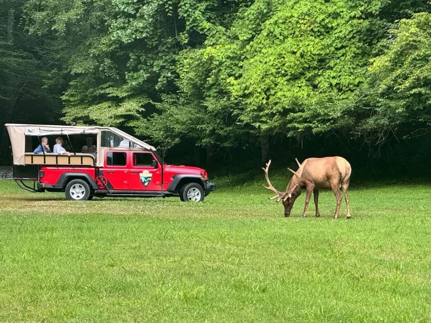 4 HR. Guided Safari Jeep Eco Waterfall Adventure – Maggie Valley, North Carolina