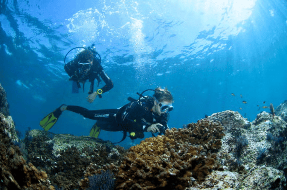 Acapulco: Scuba Diving in Roqueta Island – Acapulco, Mexico