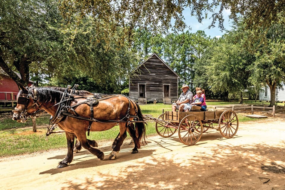 Alabama: Dothan-Eufaula Area Multi-Attraction Pass – Dothan, Alabama