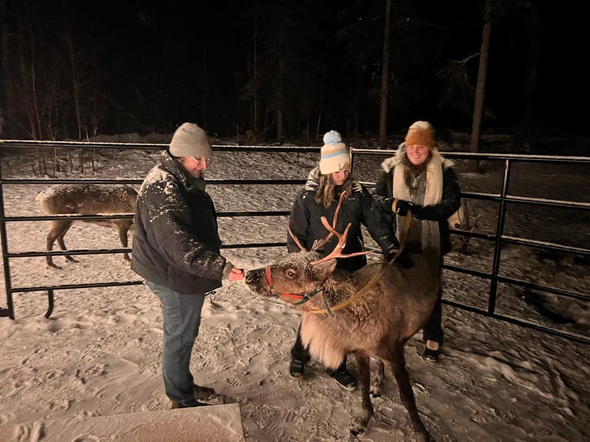 Alaskan Fireside Cookout with Reindeer – Talkeetna, Alaska