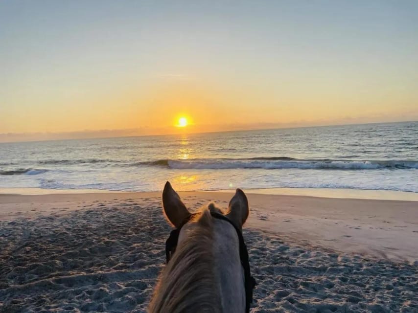 Amelia Island: Morning or Evening Horseback Rides on Beach – Fernandina Beach, Florida