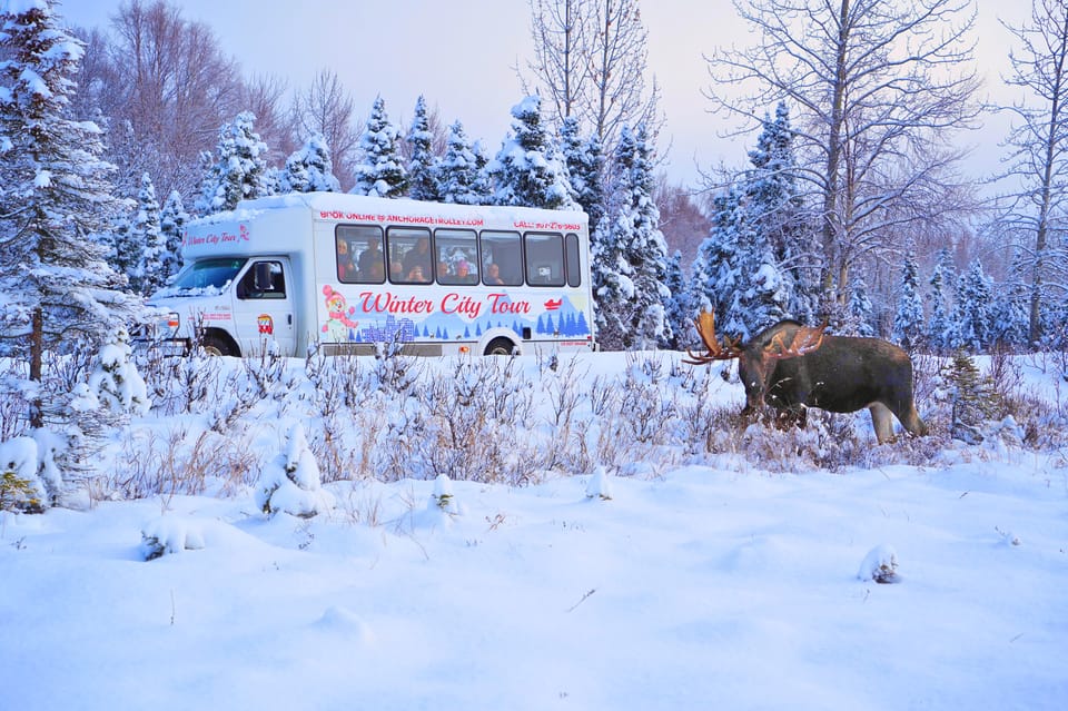 Anchorage: Guided City Tour – Anchorage, Alaska