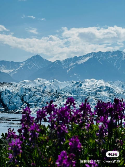 Anchorage: Matanuska Glacier Hike with Transfers – Anchorage, Alaska