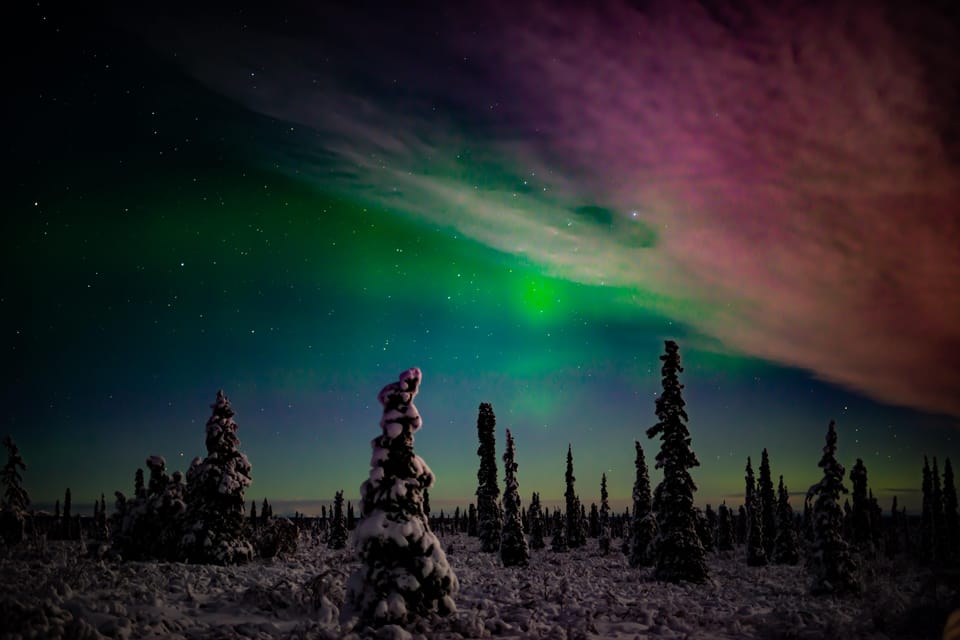 Anchorage: Northern Lights Photography Tour – Anchorage, Alaska