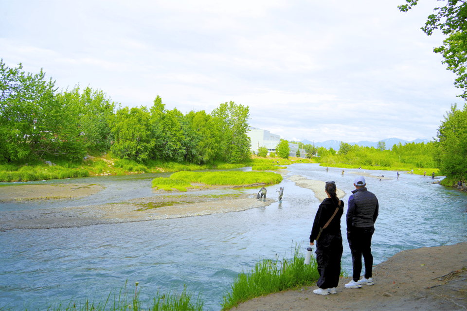 Anchorage Salmon Adventure= Hatchery+Ship Creek+ View Salmon – Anchorage, Alaska