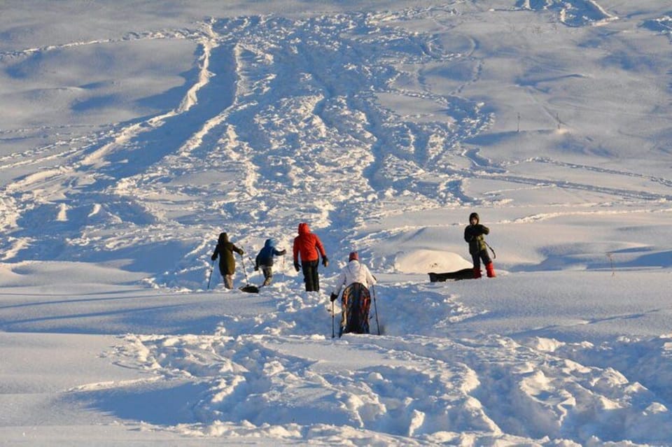 Anchorage: Starlight Snowshoe Adventure with Transportation – Anchorage, Alaska