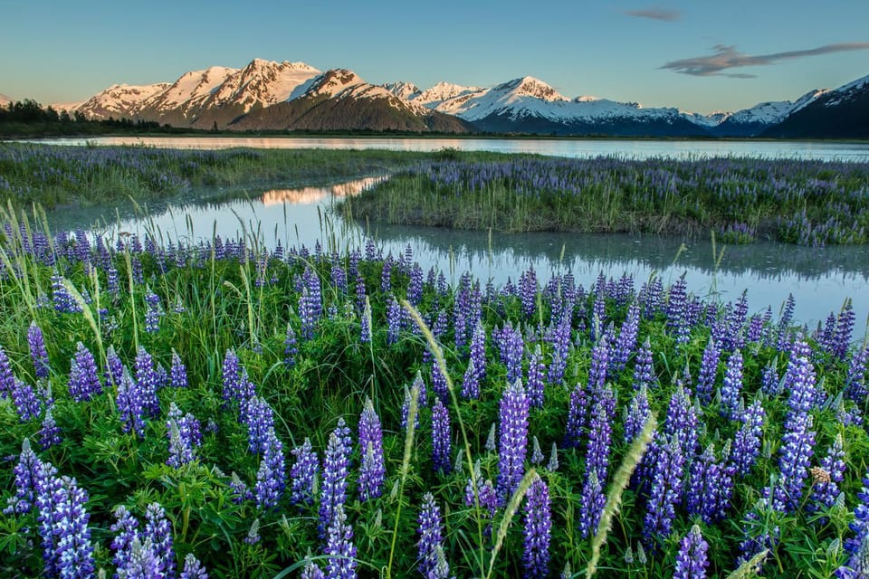 Anchorage: Turnagain Arm Highlights Photography Day Trip – Alaska, Alaska