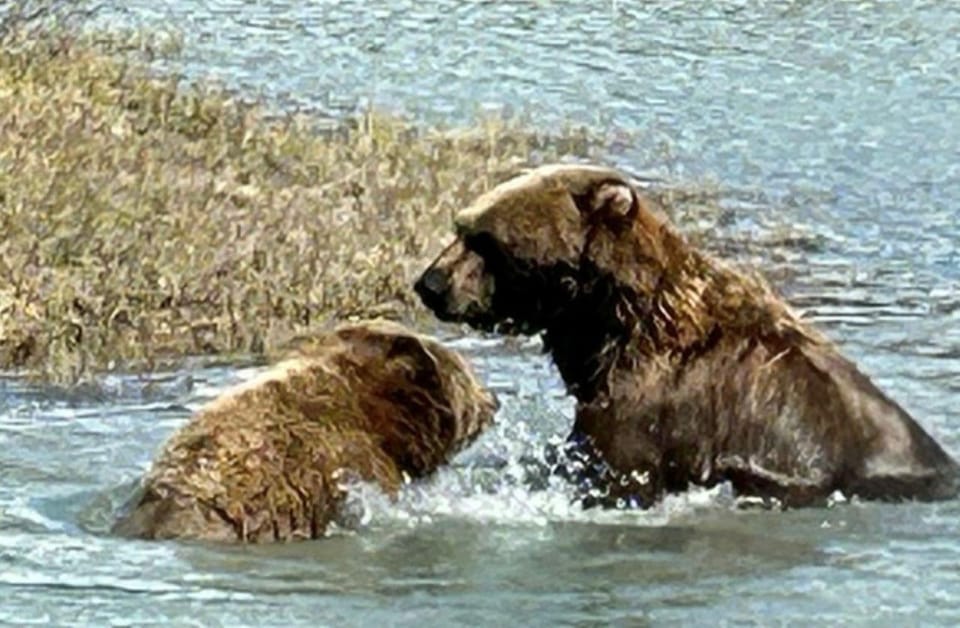 Anchorage: Wildlife Conservation Center & Portage Valley – Anchorage, Alaska