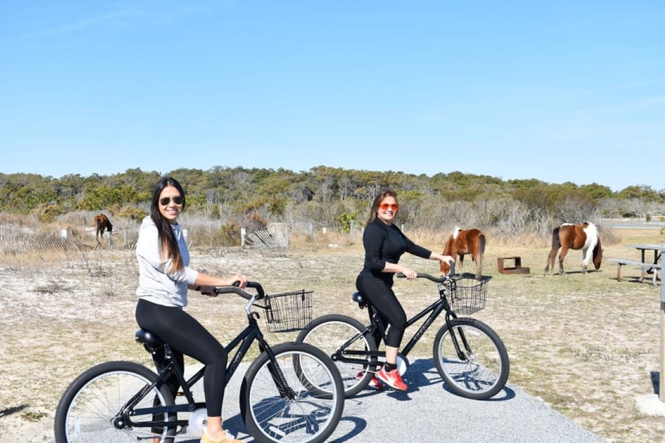 Assateague Island: Bike Rental from the Bayside Stand – Assateague Island, Maryland