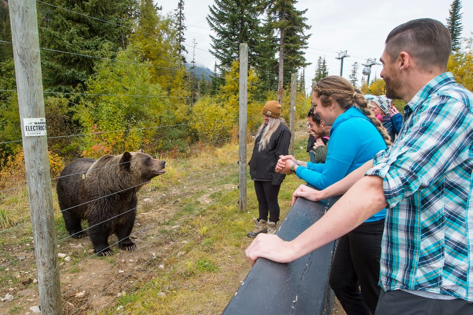 Banff: Grizzly Bear Refuge Tour with Lunch – Yoho National Park Of Canada, Canada