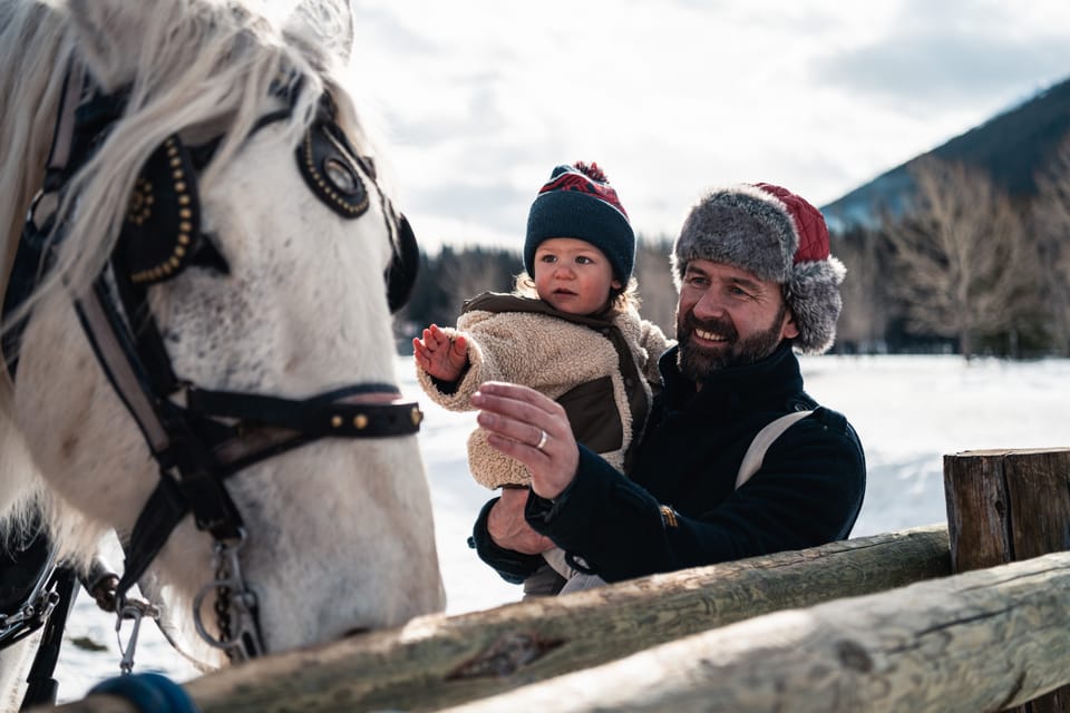 Banff: Private Horse-Drawn Sleigh Ride for Four – Banff, Canada