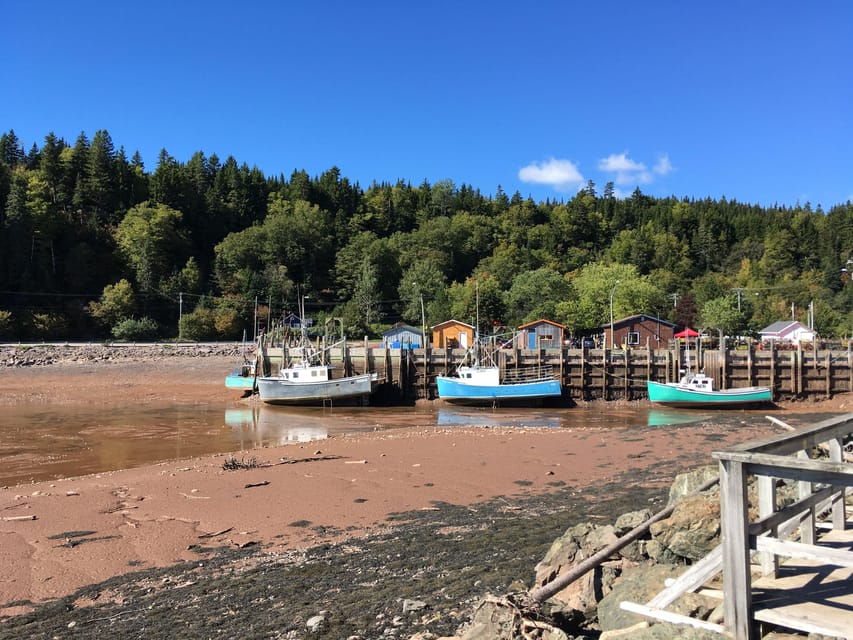 Bay of Fundy Tour by Luxury Car – Saint John, New Brunswick, Canada