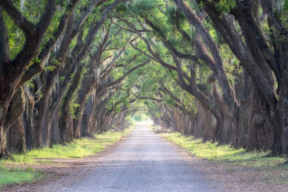 Bayous And Byways, Oak Alley Plantation And Kayak Swamp Tour – Vacherie, Louisiana