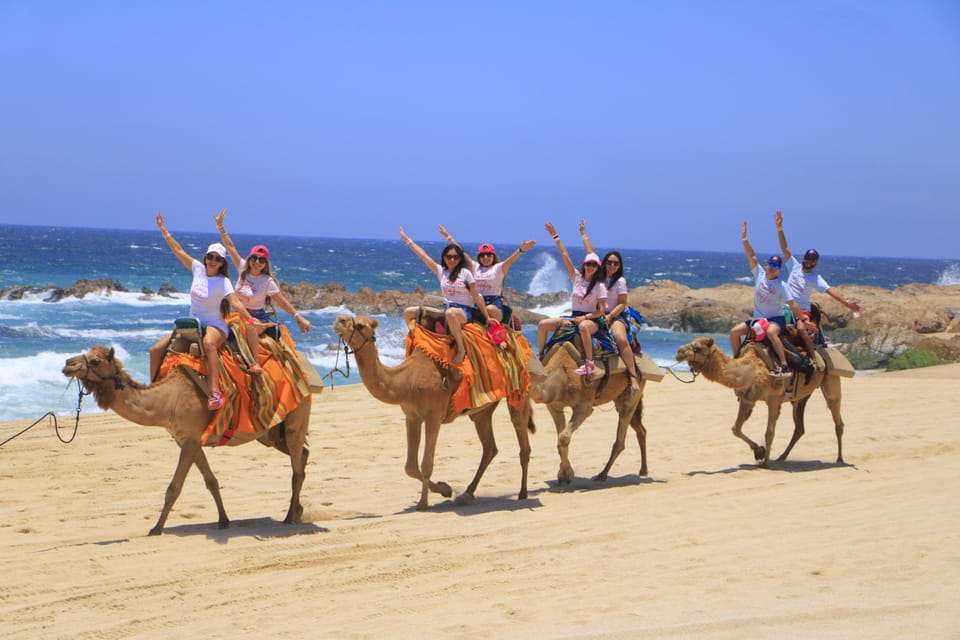 Beach CAN-AM SXS X3 & Camel Ride in Cabo by Cactus Tours – Cabo San Lucas, Mexico