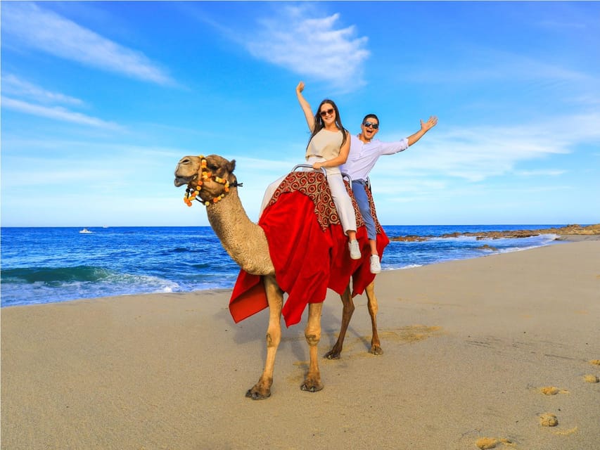 Beach UTV & Camel Ride COMBO in Cabo by Cactus Tours Park – Cabo San Lucas, Mexico