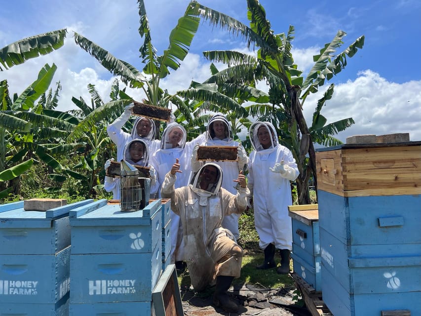 Bee Farm Tour & Honey Tasting – Hawaii, Hawaii