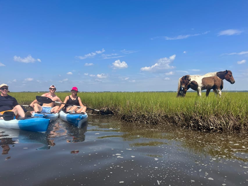 Berlin, MD: Full-, Half, or Quarter-Day Kayak Rental – Assateague Island, Maryland