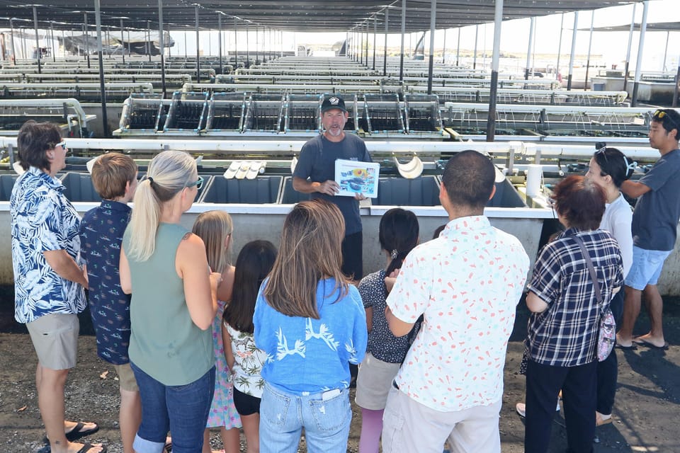 Big Island: Abalone Farm Guided Tour with Tasting – Kailua-Kona, Hawaii