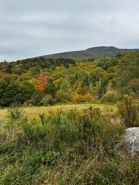 Boston: White Mountains 4,000-Footer Hike – Mount Moosilauke – White Mountain National Forest, New Hampshire