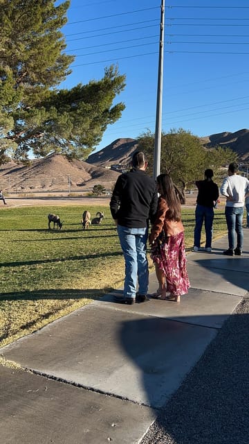 Boulder City: Hemenway Park Guided Tour – Lake Mead, Nevada