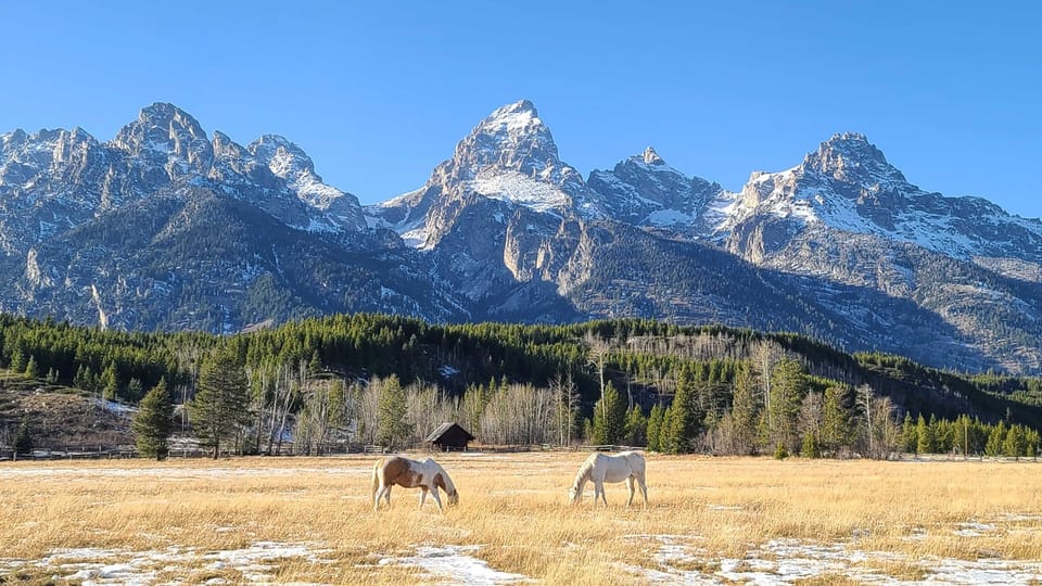 Bozeman: Yellowstone & Grand Teton National Park with Hotel – Grand Teton National Park, Wyoming