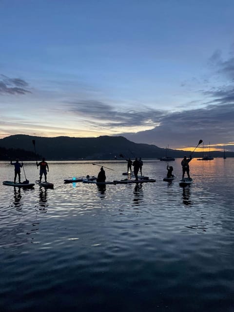 Brentwood Bay: Stand-up Paddleboard Bioluminescence Tour – Butchart Gardens, Canada