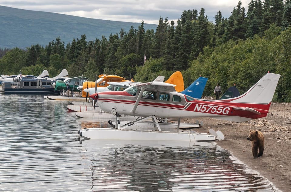 Brooks Falls: Katmai Bear Viewing by Floatplane – Alaska, Alaska