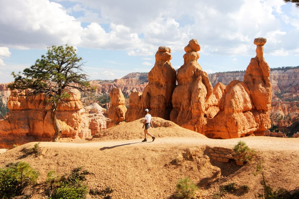 Bryce Canyon & Zion National Park: Private Group Tour – Checkerboard Mesa, Utah