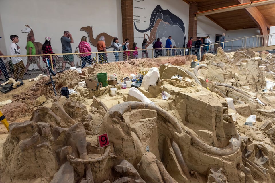 Buffalo Jeep Safari & Mammoth Site Tour – The Mammoth Site, South Dakota