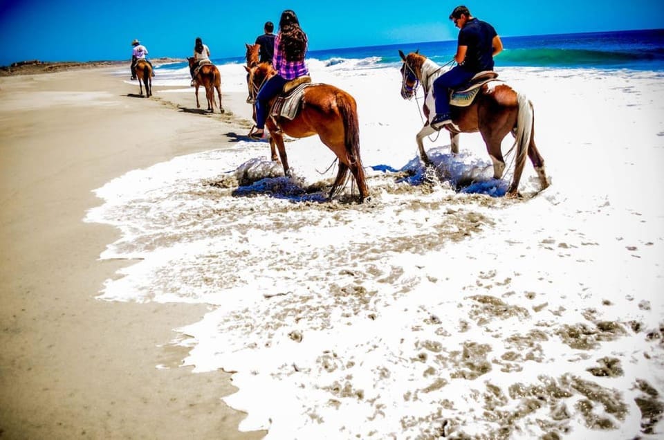 Cabo San Lucas: Horseback Riding on the Beach Experience – San Jose del Cabo, Mexico