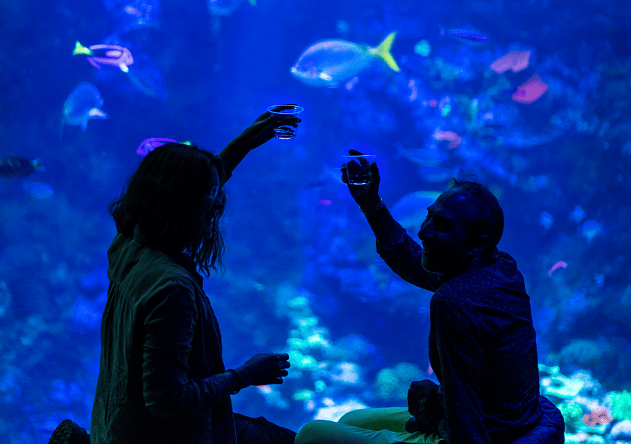 California Academy of Sciences NightLife Plus Admission – San Francisco, California