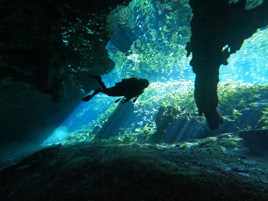 Cancun 2 Cenote Dives: The Pit + Nicte Ha – Certified Divers – Tulum, Mexico