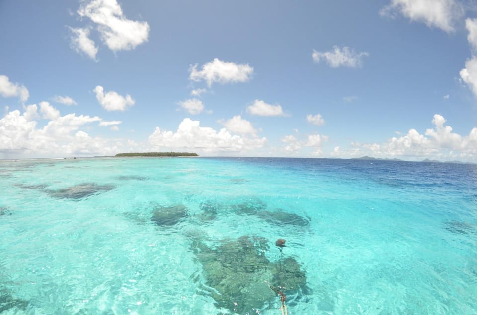 Cancun: Glass-bottom boat tour – Cancún, Mexico