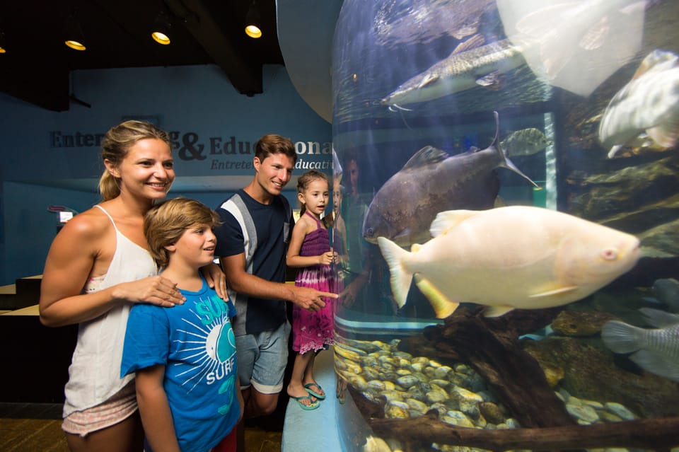 Cancún: Interactive Aquarium Admission – Cancún, Mexico