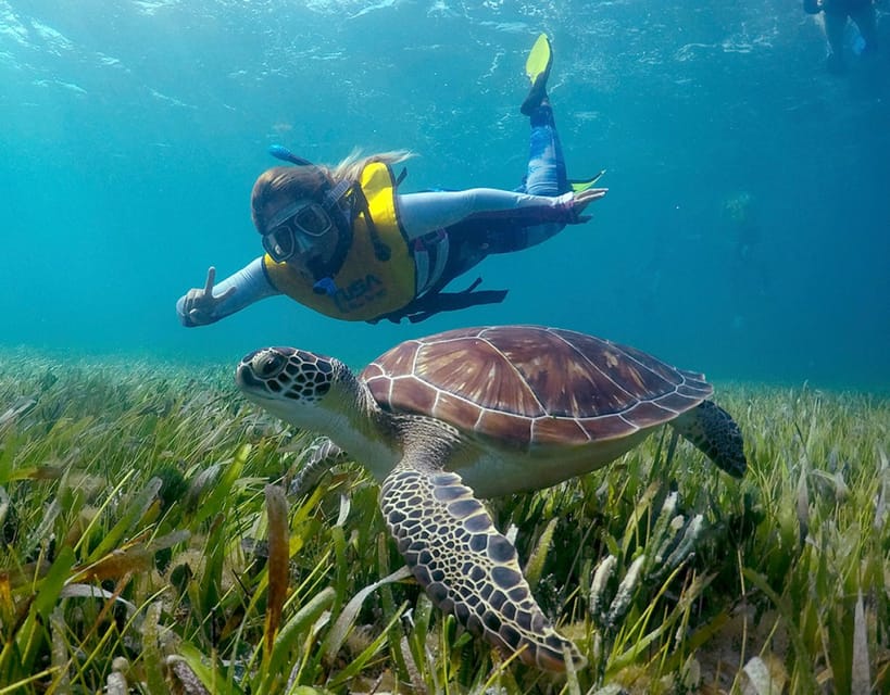 Cancun: Snorkeling Boat Trip – Cancún, Mexico