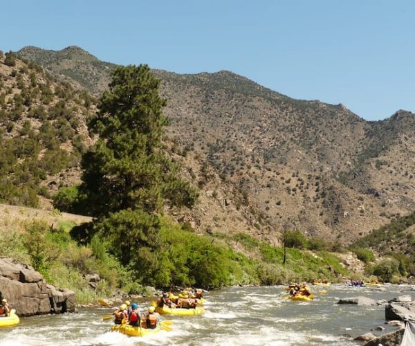 Cañon City: Bighorn Sheep Canyon Guided Rafting Adventure – Arkansas River, Oklahoma