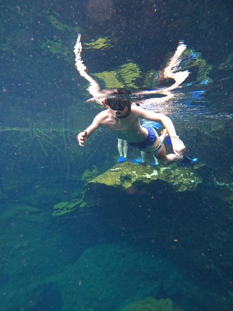 Casa cenote snorkeling tour – Tulum, Mexico