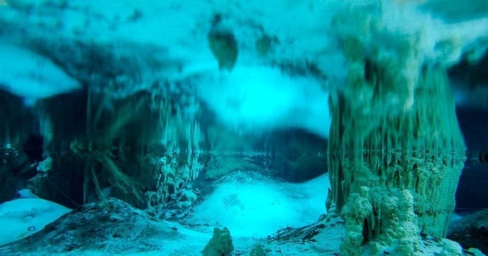 Cenote Paradise Lagoon – Cenote Lagoon, Mexico