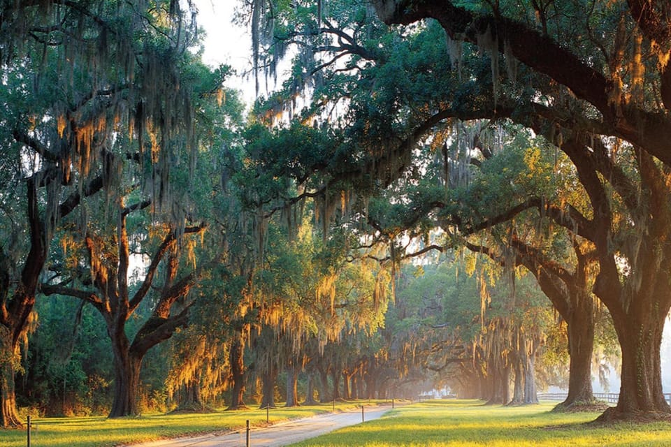 Charleston: Boone Hall & Historic City Tour Combo – Mount Pleasant, South Carolina