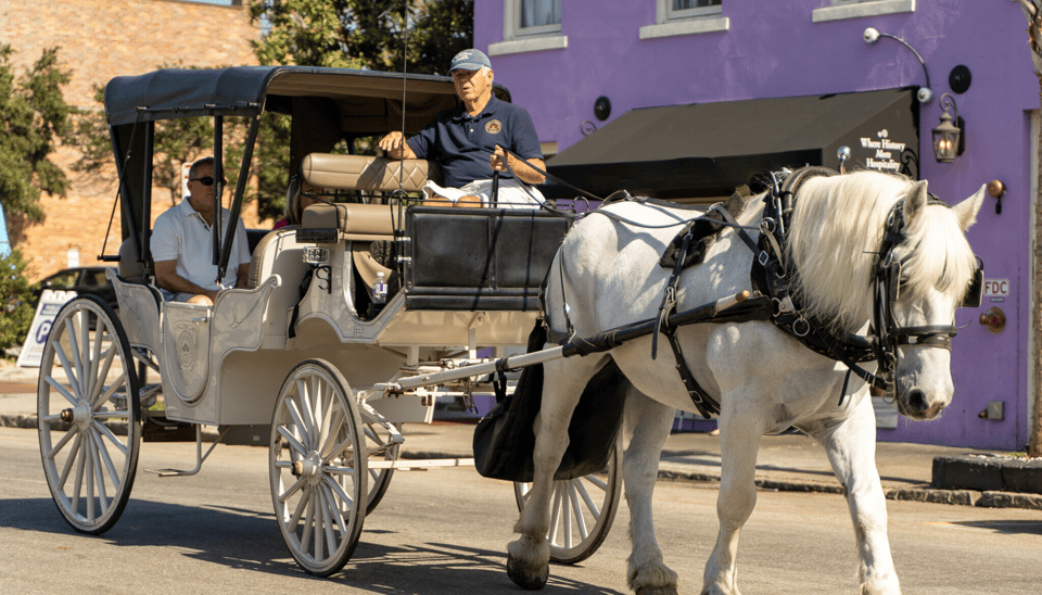 Charleston: Historic Carriage Tour of Charleston – Charleston, South Carolina