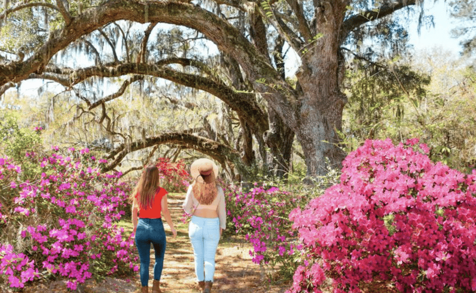 Charleston: Historic City Tour & Magnolia Plantation Combo – Charleston, South Carolina