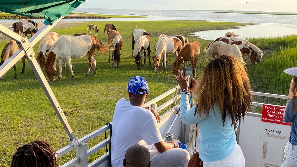 Chincoteague: Assateague Island Sunset Boat Cruise – Chincoteague, Virginia