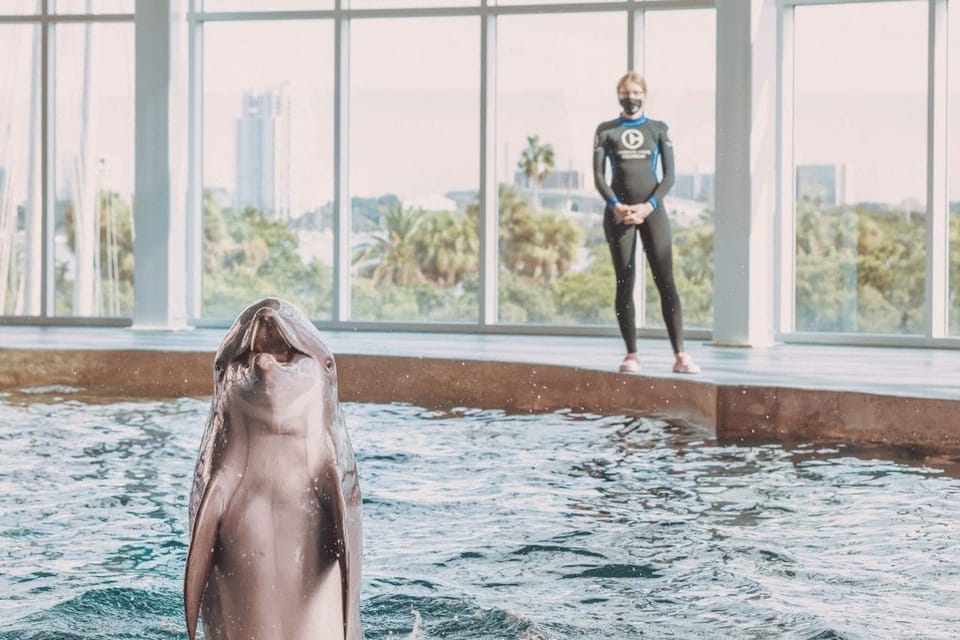 Clearwater: Eco-Certified Marine Aquarium General Admission – Clearwater, Florida